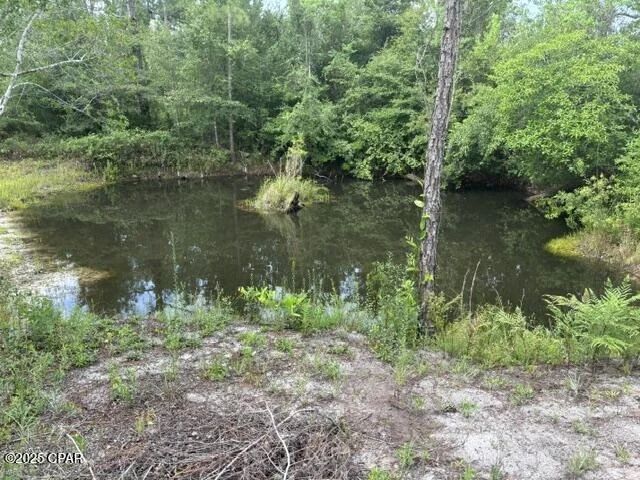 Photo of 12136 Two Trail Road