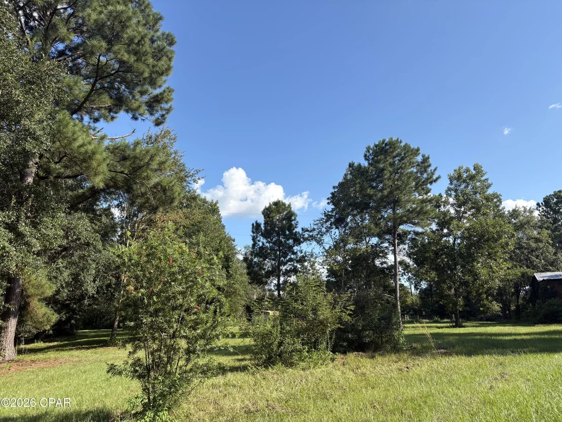Photo of 240 Mockingbird Lane