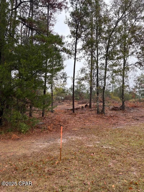 Photo of 4593 Meadowview Road