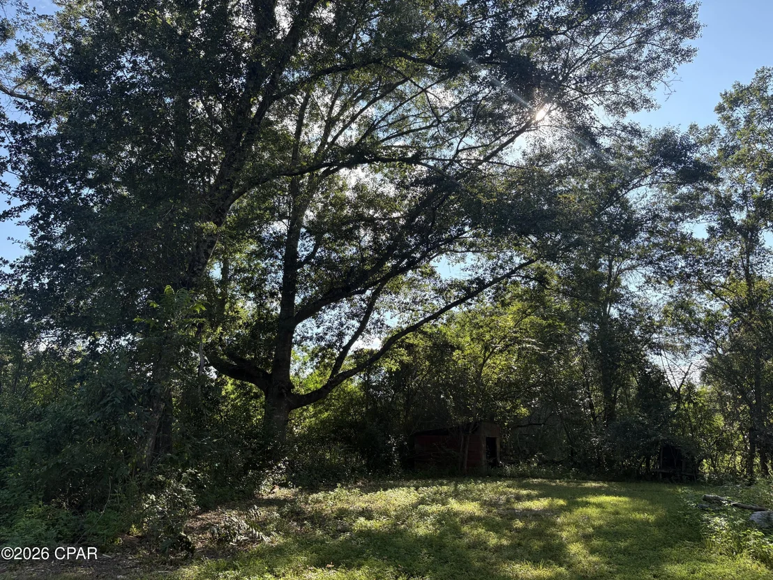 Photo of 240 Mockingbird Lane