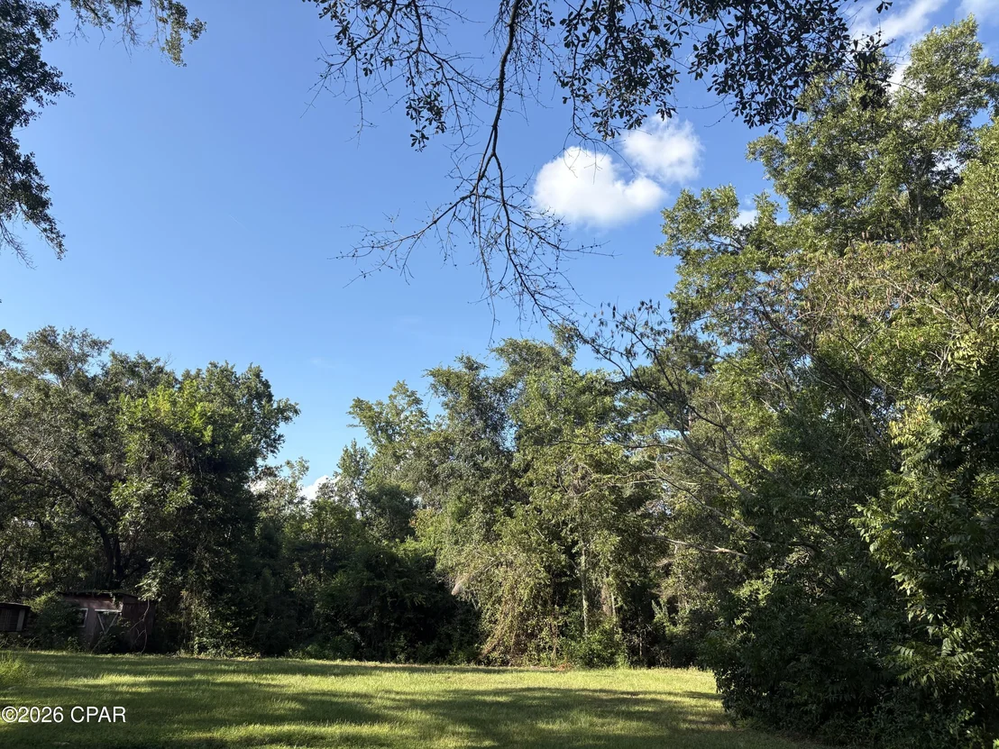 Photo of 240 Mockingbird Lane