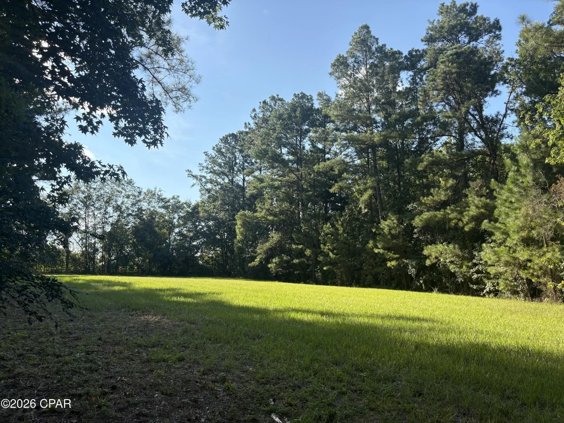 Photo of 240 Mockingbird Lane