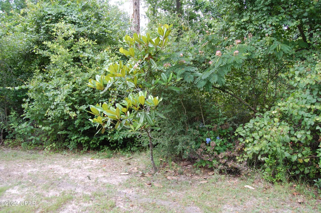 Photo of 439 Big Cedar Drive