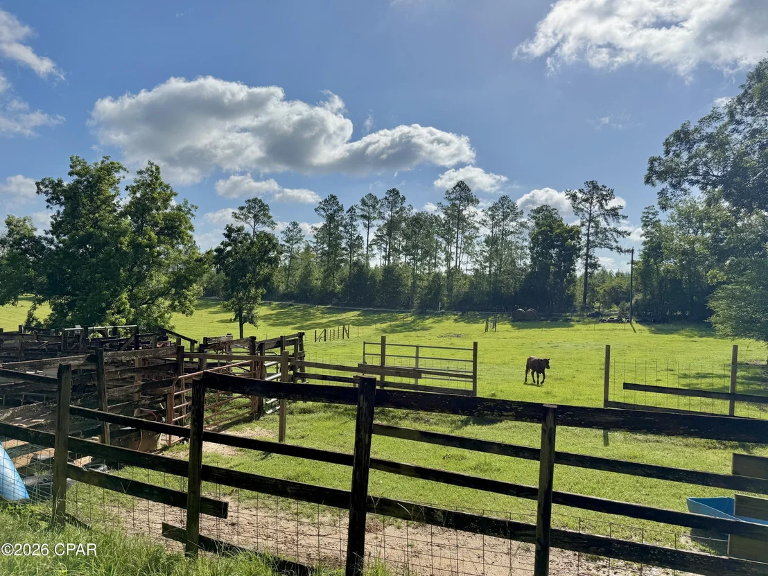 Photo of 1036 Broom Road