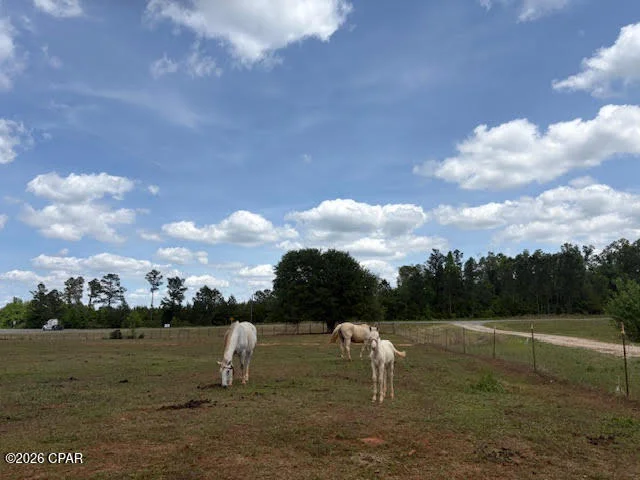 Photo of 3761 Highway 231