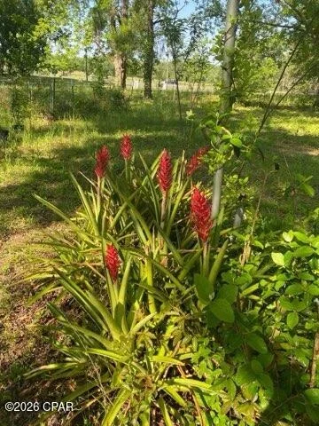 Photo of 4854 Highway 231