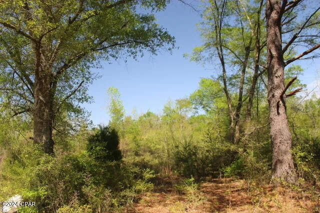 Photo of 1996 Crooms Road