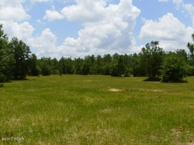 Photo of 000 COMPASS LAKE Drive