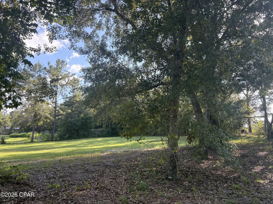 Photo of 240 Mockingbird Lane