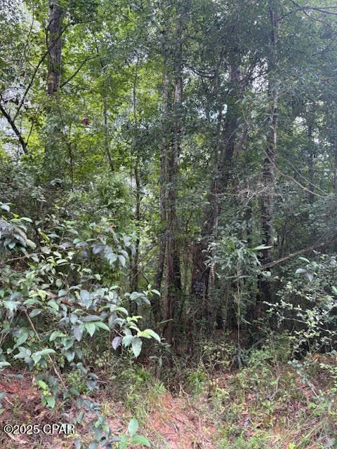 Photo of 0 PT MILLIGAN Road