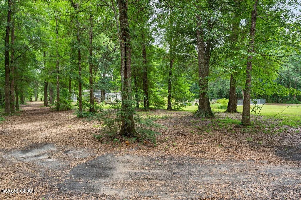 Photo of 3005 Acuff Road