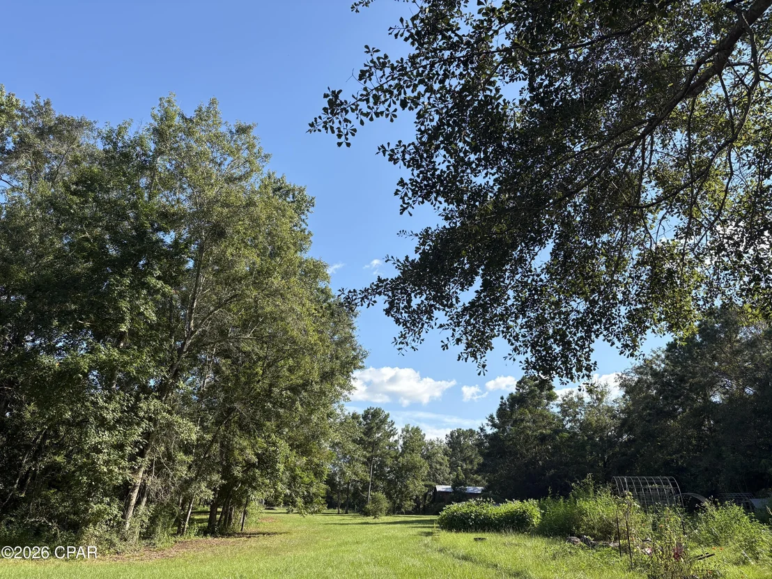 Photo of 240 Mockingbird Lane