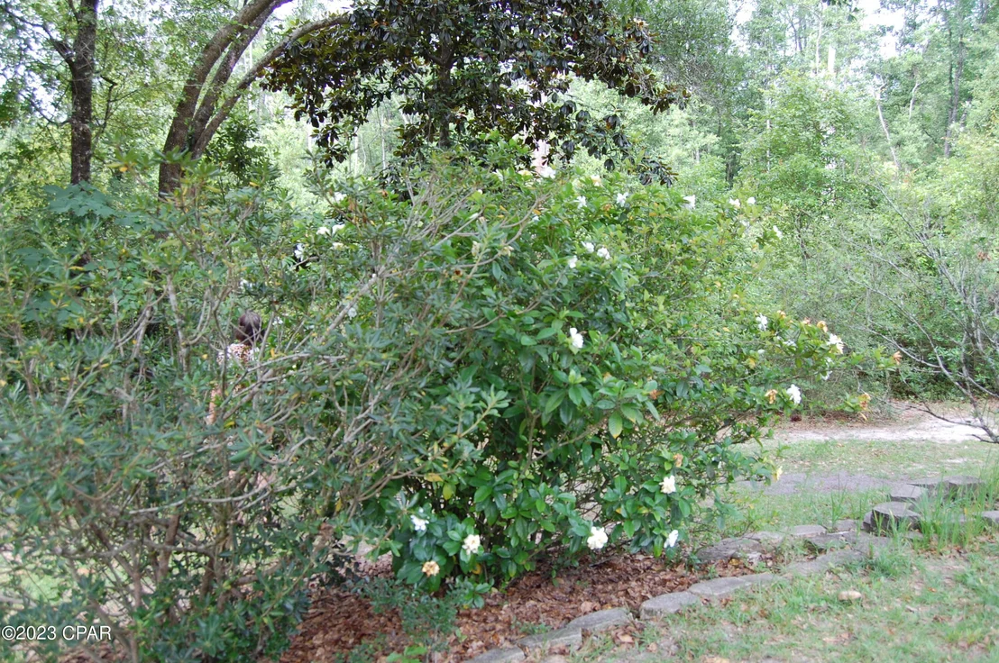 Photo of 439 Big Cedar Drive