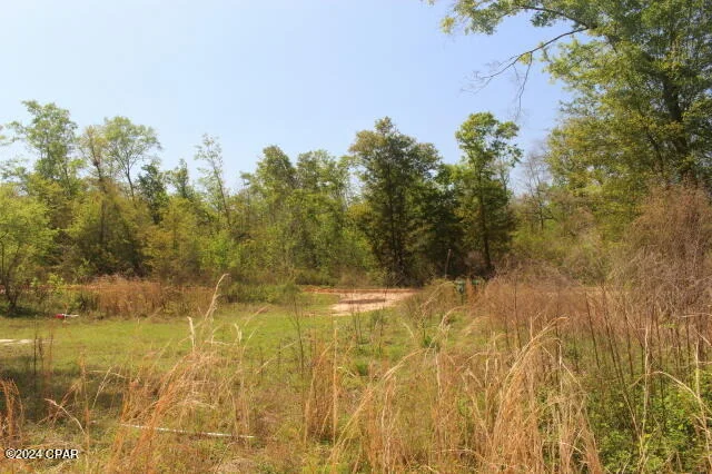 Photo of 1996 Crooms Road
