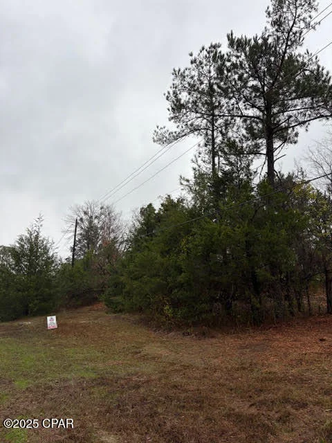 Photo of 4593 Meadowview Road