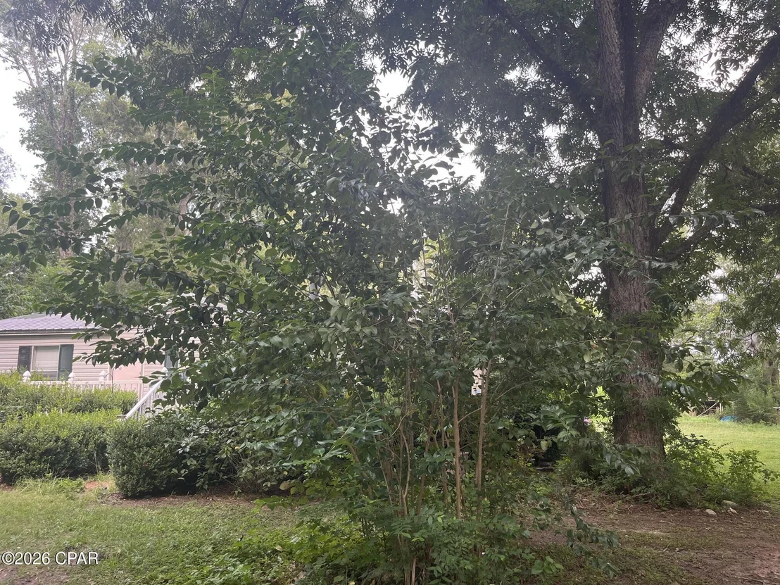 Photo of 4854 Highway 231