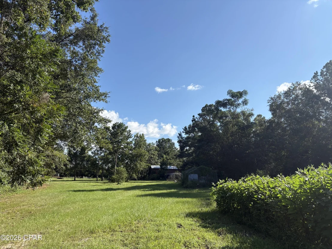 Photo of 240 Mockingbird Lane