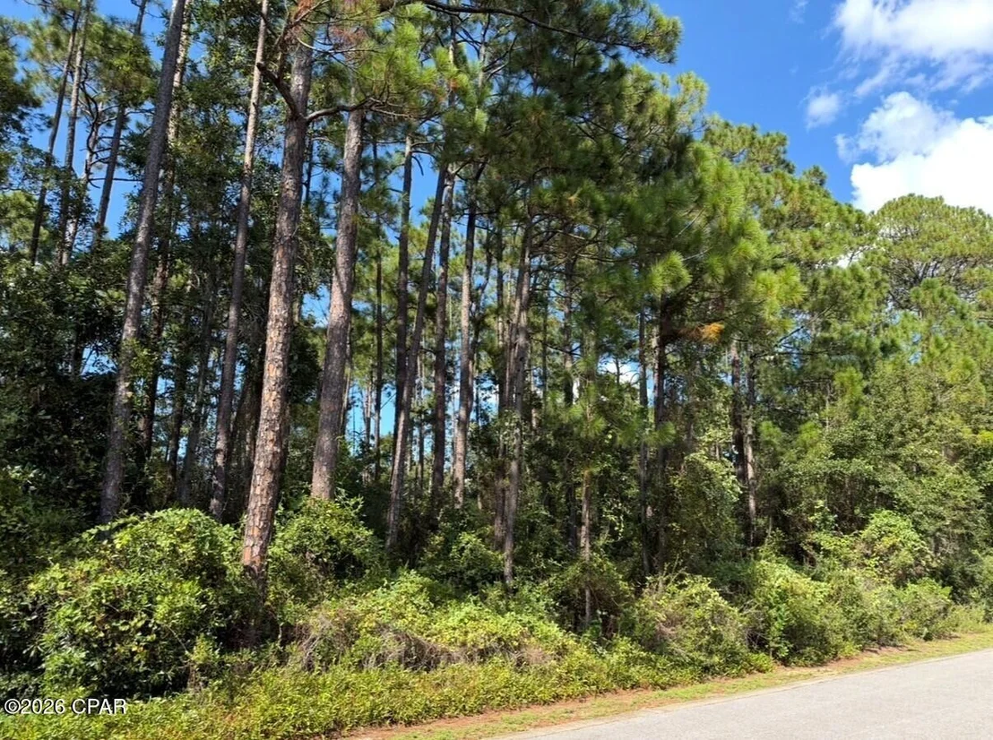 Photo of Lot 2 Cox Road