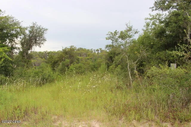 Photo of 21558 NW Lake Mckenzie Boulevard