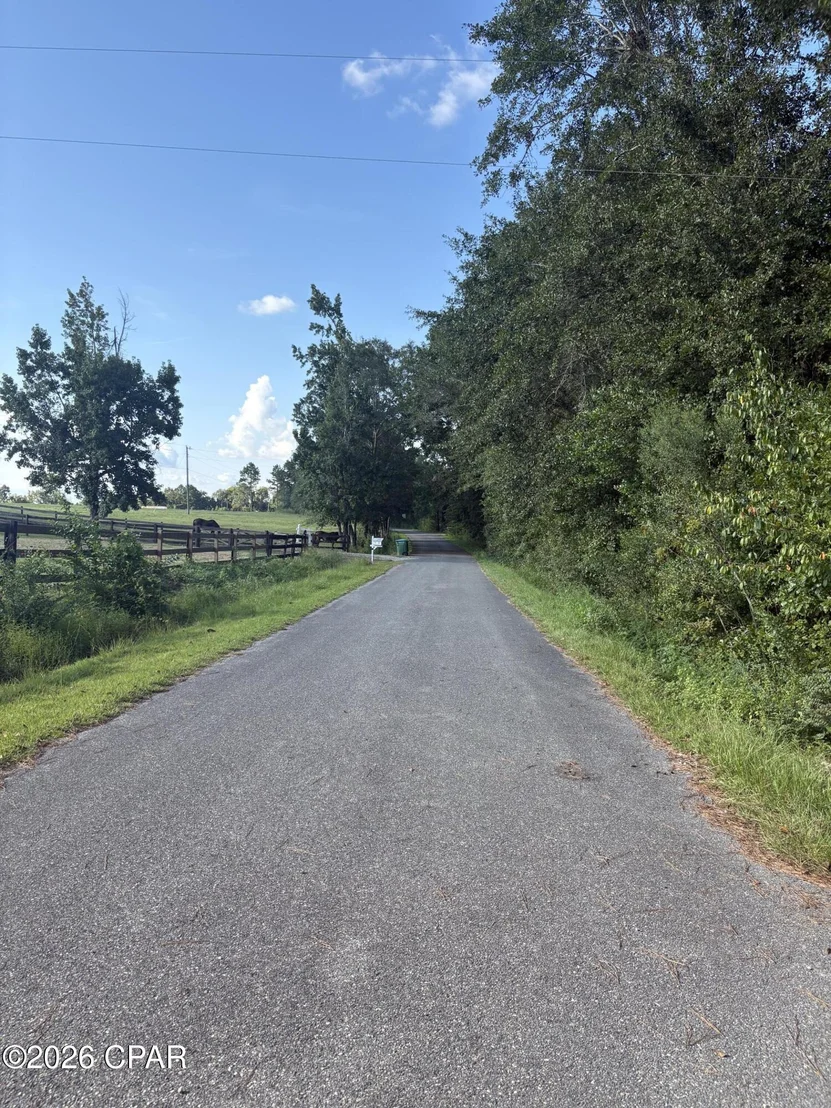 Photo of 240 Mockingbird Lane