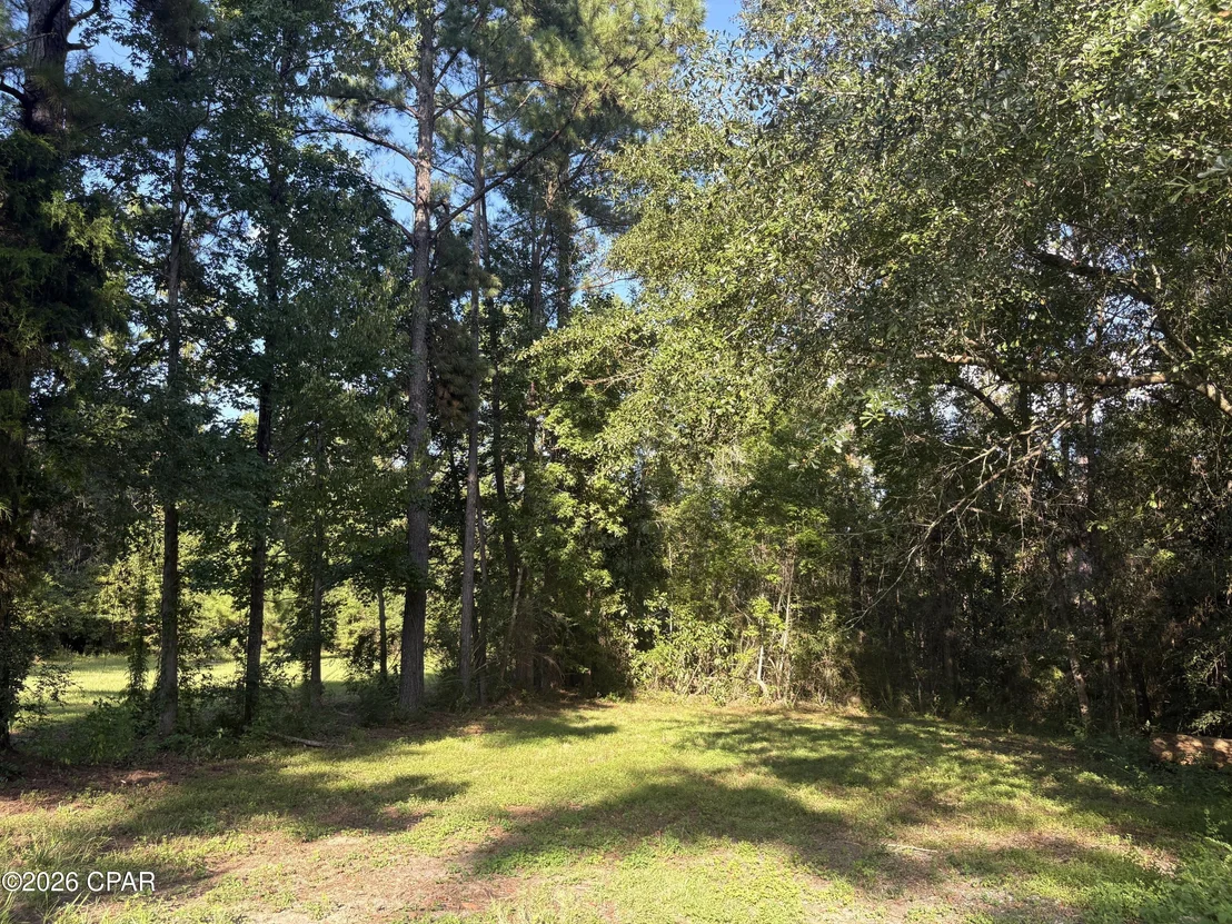 Photo of 240 Mockingbird Lane