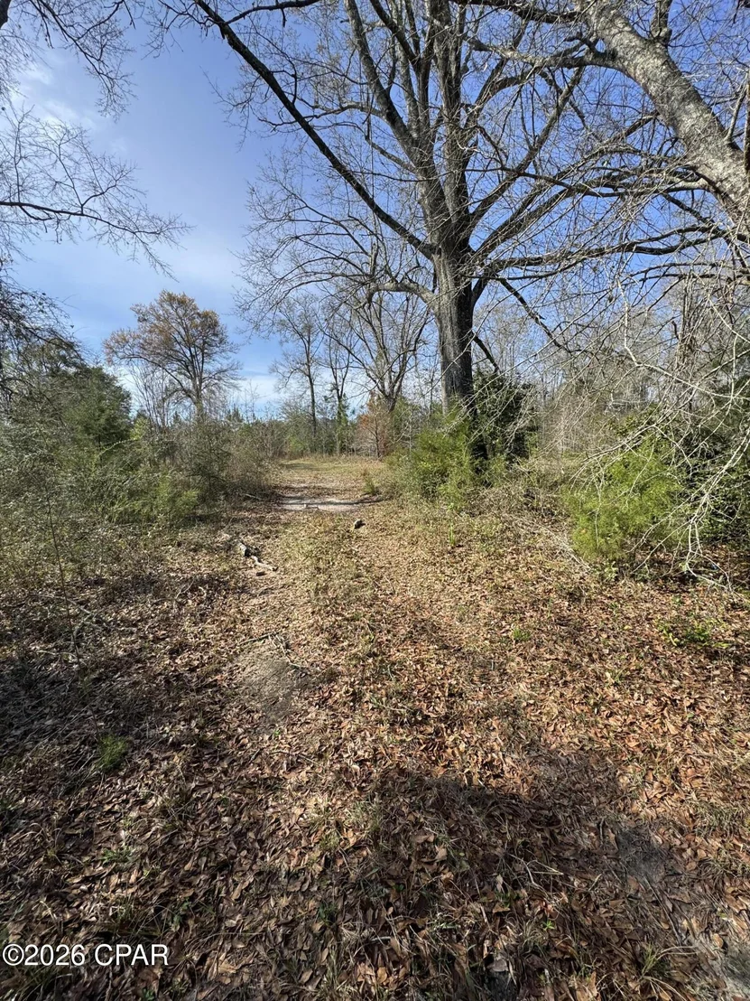 Photo of 783/767 Highway 90
