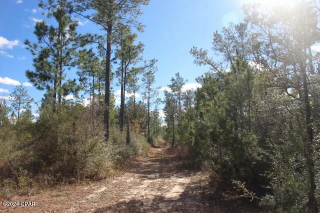 Photo of 5015 NW County Road 274