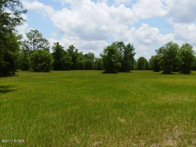 Photo of 000 COMPASS LAKE Drive