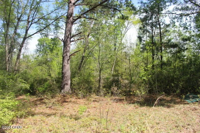 Photo of 1996 Crooms Road