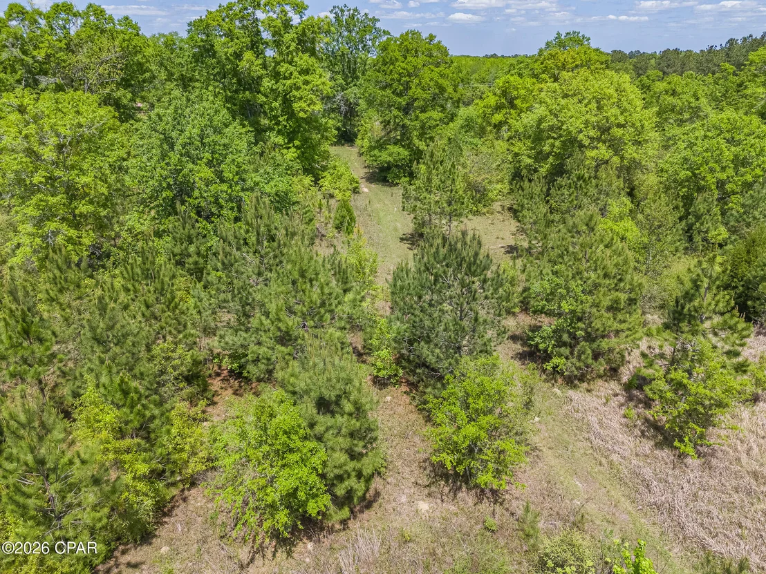 Photo of 783/767 Highway 90