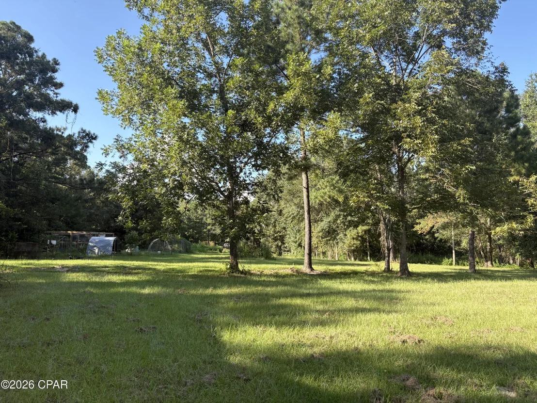 Photo of 240 Mockingbird Lane