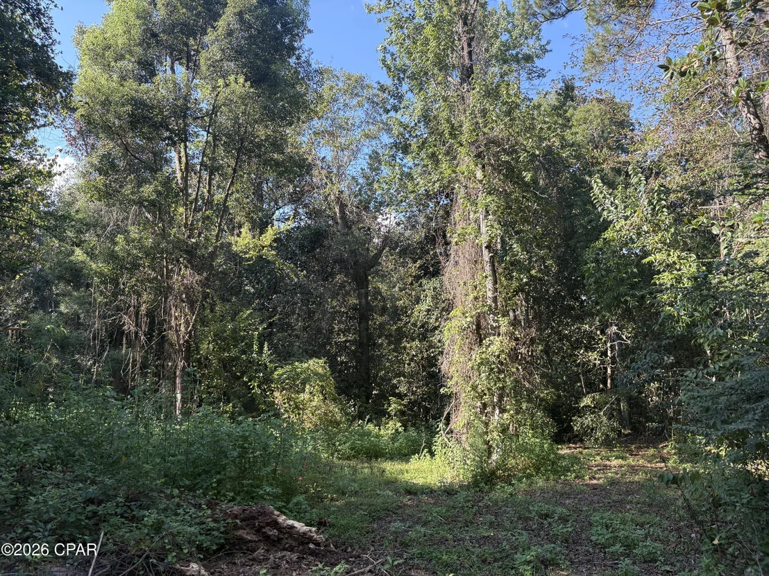 Photo of 240 Mockingbird Lane