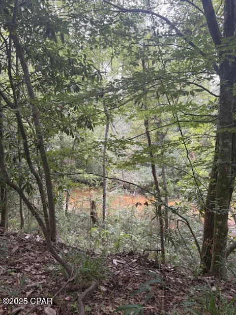 Photo of 0 PT MILLIGAN Road