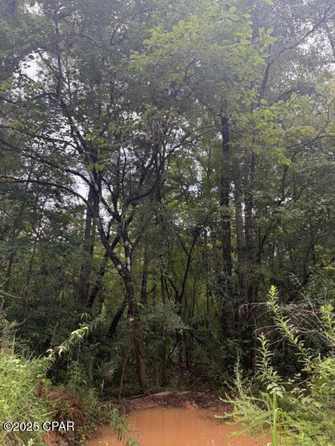 Photo of 0 PT MILLIGAN Road