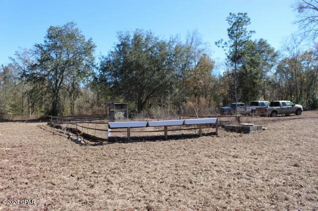 Photo of 6297 Americus Road