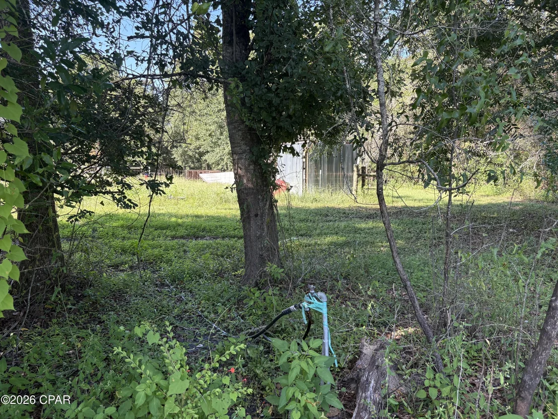 Photo of 240 Mockingbird Lane