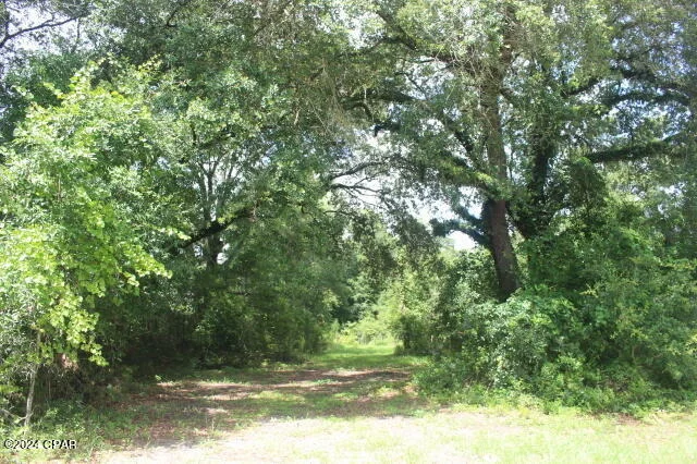 Photo of 4583 Dickson Road