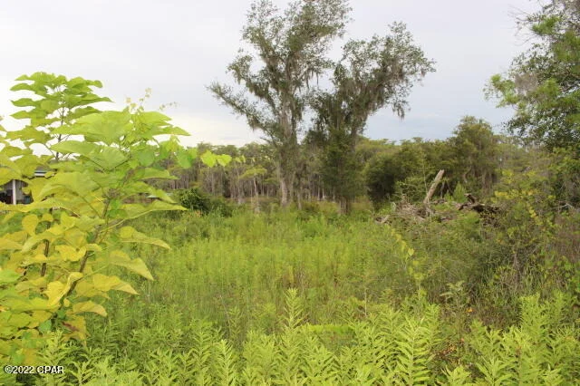 Photo of 21558 NW Lake Mckenzie Boulevard