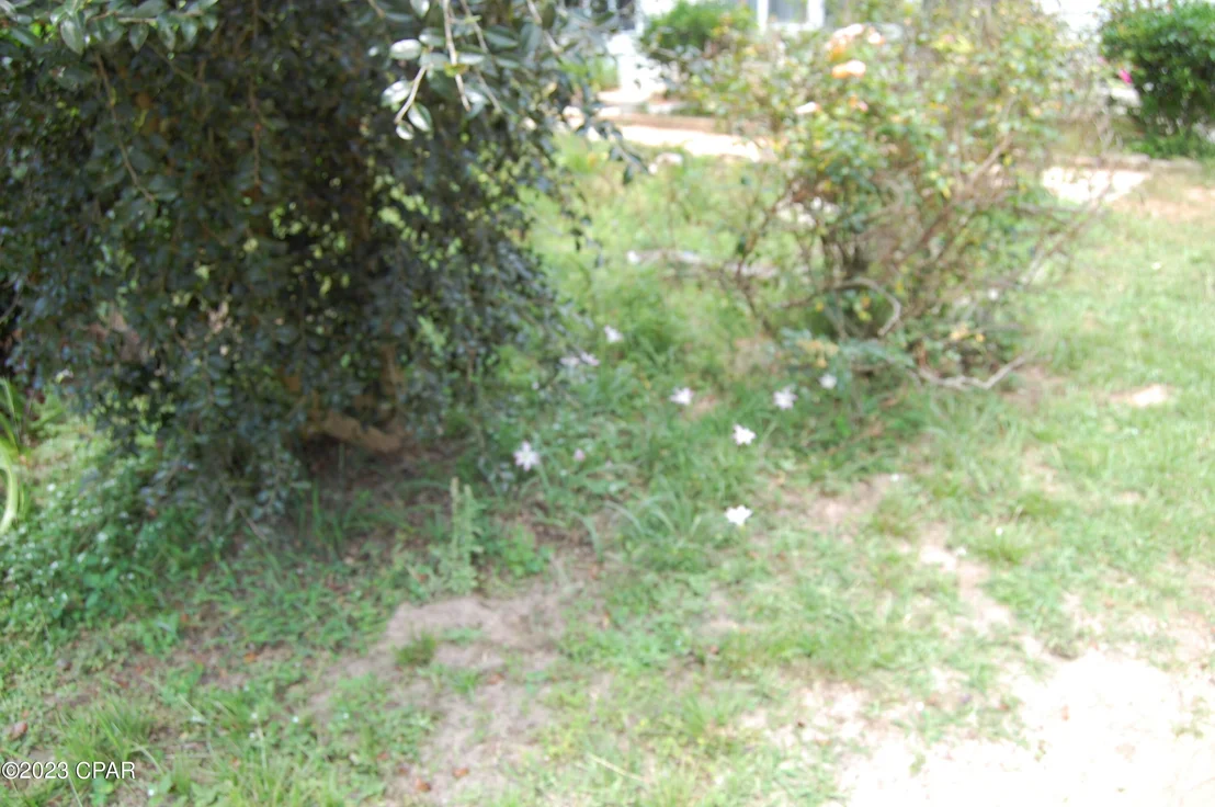 Photo of 439 Big Cedar Drive