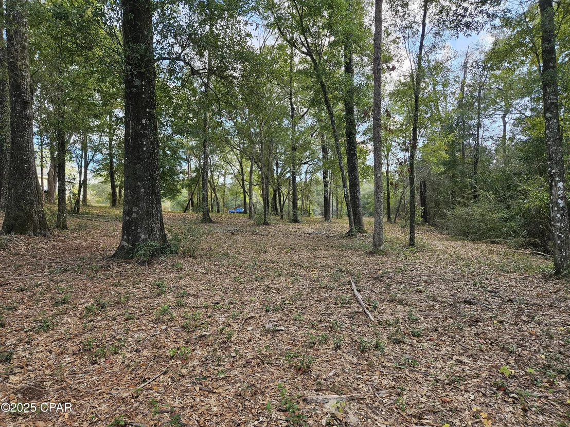 Photo of 4337 Leisure Lakes Drive