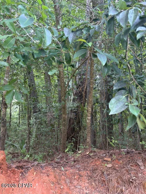 Photo of 0 PT MILLIGAN Road