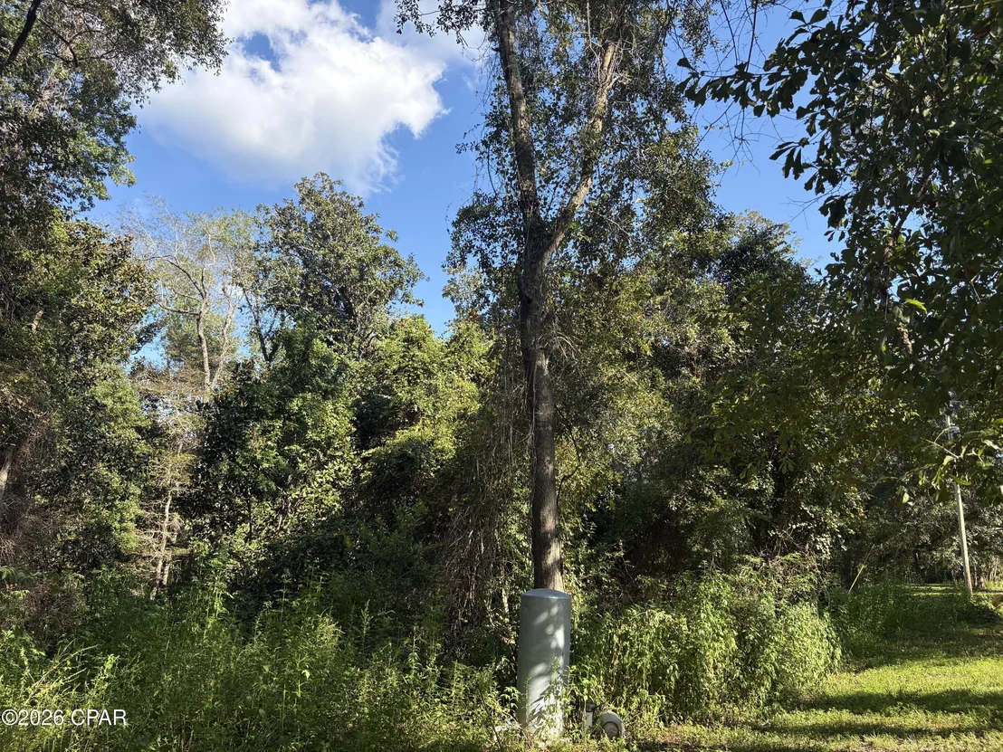 Photo of 240 Mockingbird Lane