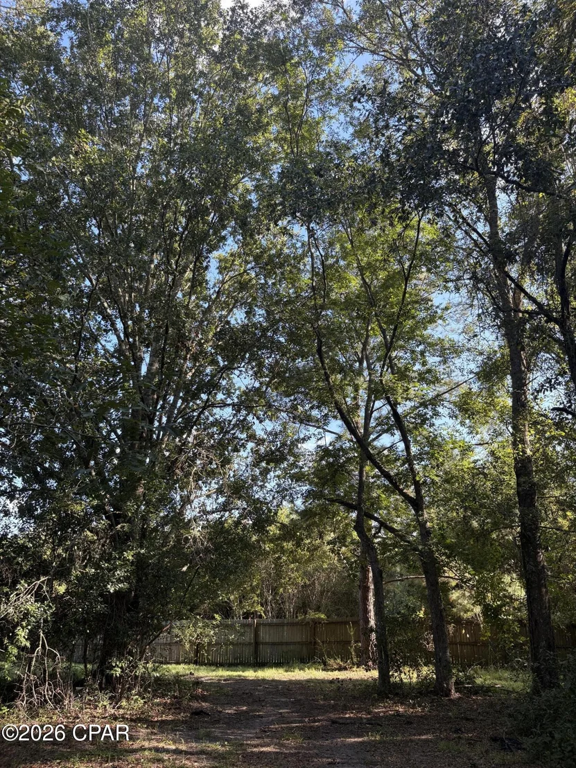 Photo of 240 Mockingbird Lane