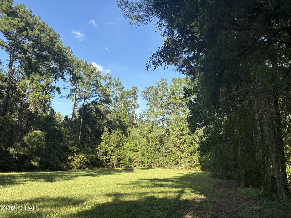 Photo of 240 Mockingbird Lane