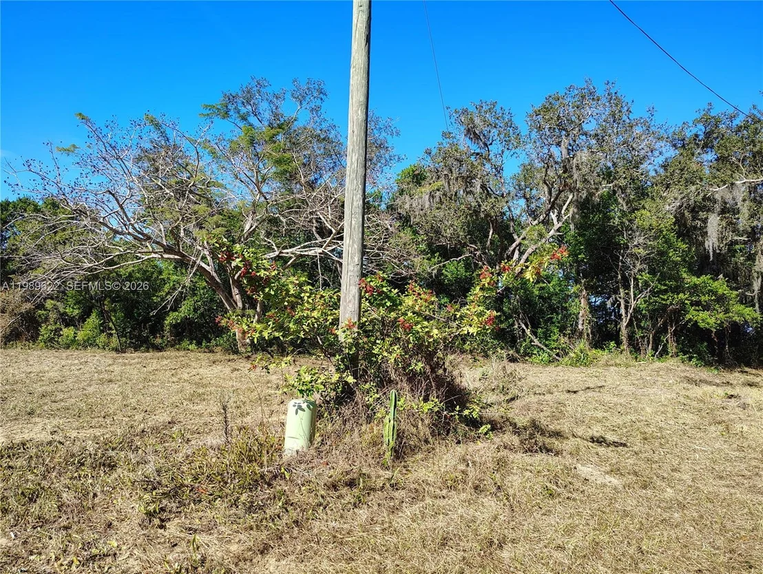 Photo of 3505 Bethune