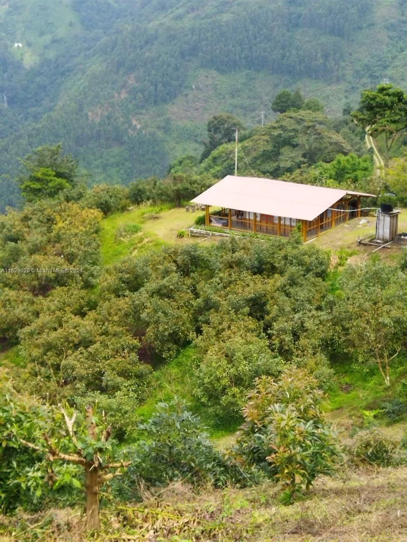 Photo of Armenia-Quindio