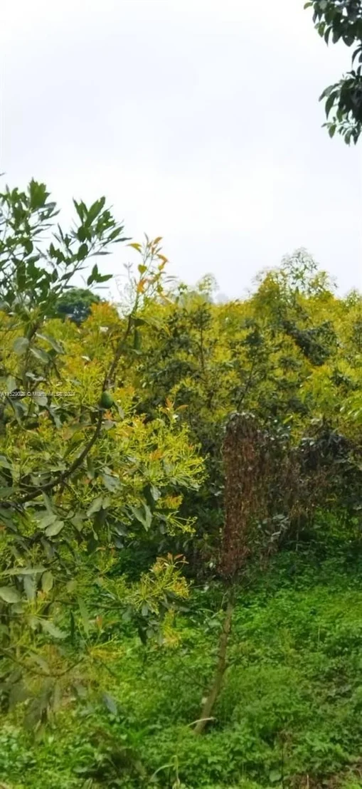 Photo of Armenia-Quindio
