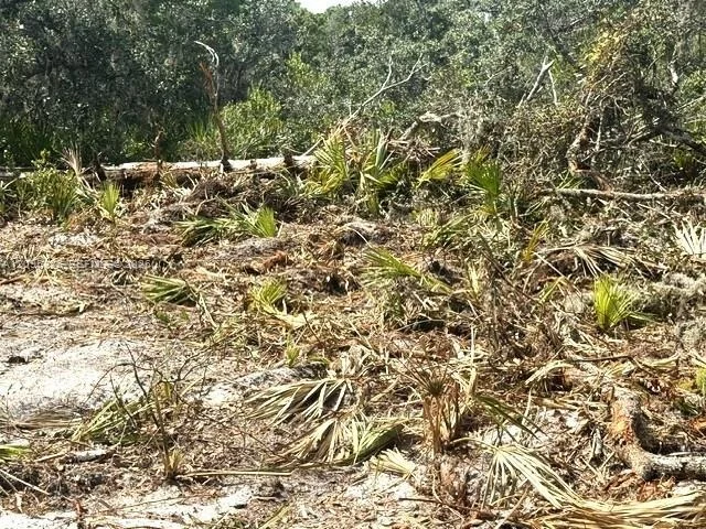 Photo of 206 Oriole Avenue