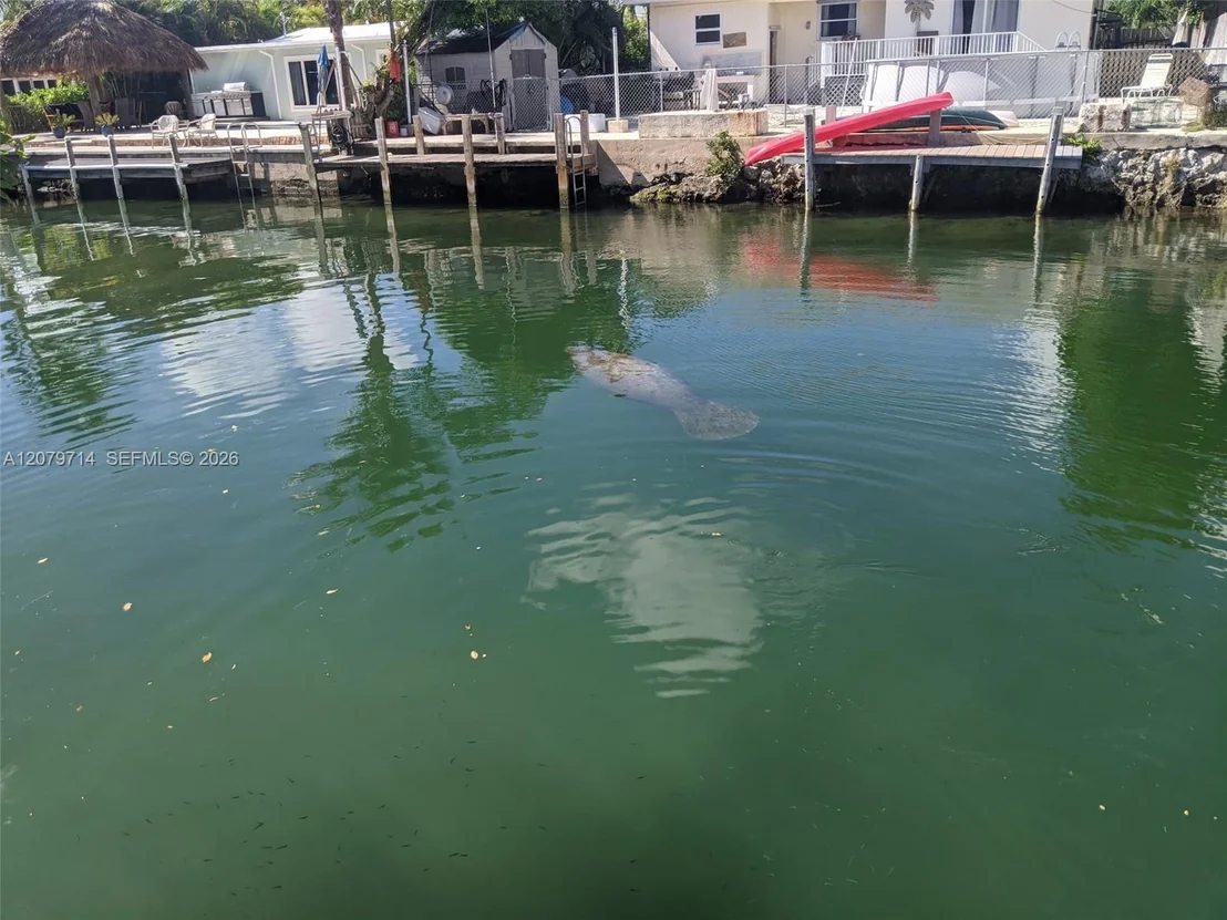 Photo of 1791 Grouper Dr