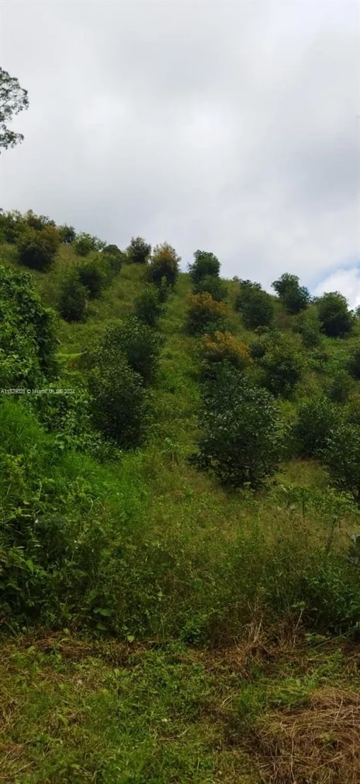 Photo of Armenia-Quindio